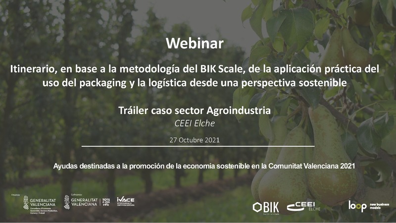 Aplicaci�n pr�ctica del uso del packaging y la log�stica desde una perspectiva sostenible