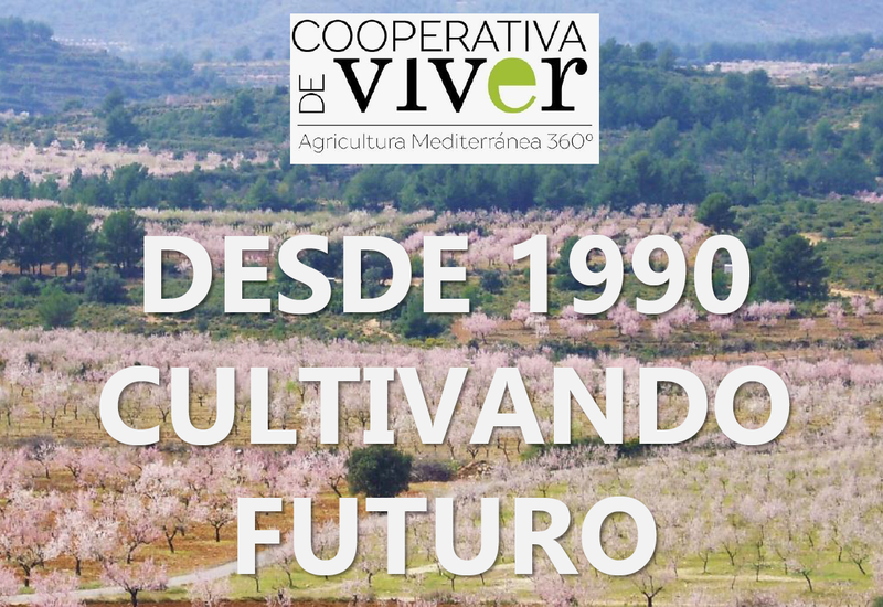 Presentaci�n Cooperativa de Viver