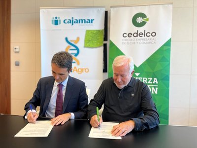 CEDELCO y Cajamar renuevan su compromiso con el tejido empresarial de Elche y comarca