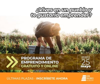 Programa de incubaci�n digital