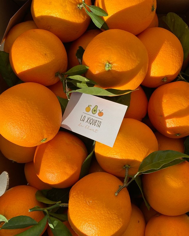 Naranjas de Valencia