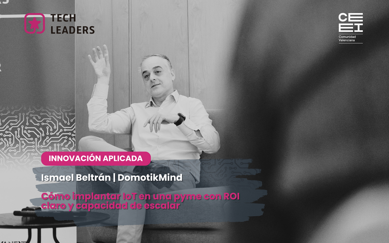 Ismael Beltr�n, CEO de DomotikMind