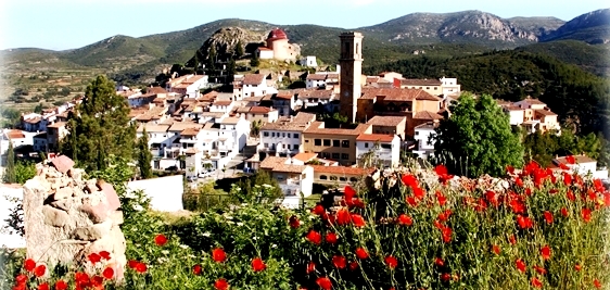 AEDL Ayuntamiento Andilla