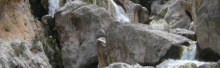 AEDL Ajuntament de Bicorp