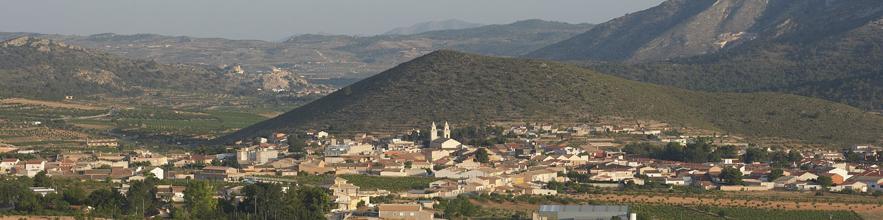 Agencia de Desarrollo Local del Ayuntamiento de Algue�a