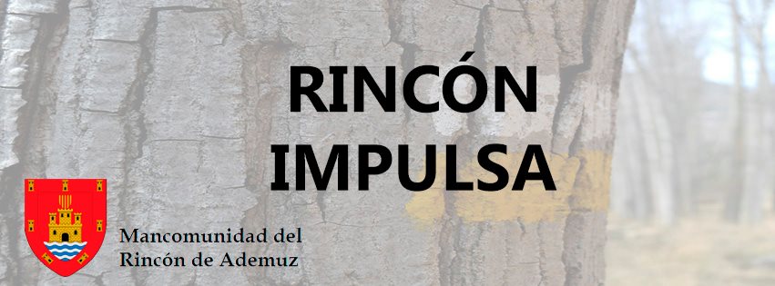 Centro de Emprendimiento e Innovaci�n Rinc�n Impulsa