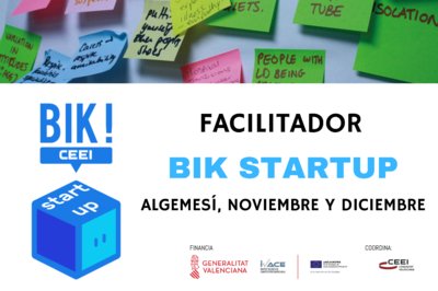 Sesi�n Facilitadores BIK STARTUP en Algemes�