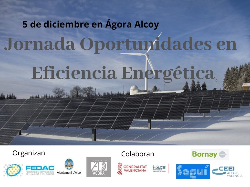 Jornada Oportunidades en eficiencia energ�tica