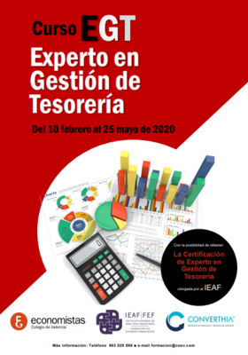 Curso Experto en Gesti�n de Tesorer�a (Presencial)
