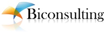 Biconsulting