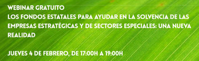 Webinar: Los Fondos Estatales para ayudar en la solvencia de las empresas estrat�gicas y de sectores especiales