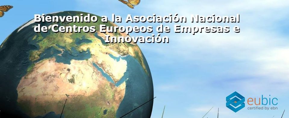 Asociaci�n Nacional de CEEIs Espa�oles (ANCES)